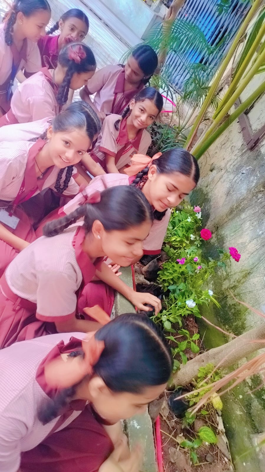 Environment Day 2026-2027 — photo 3